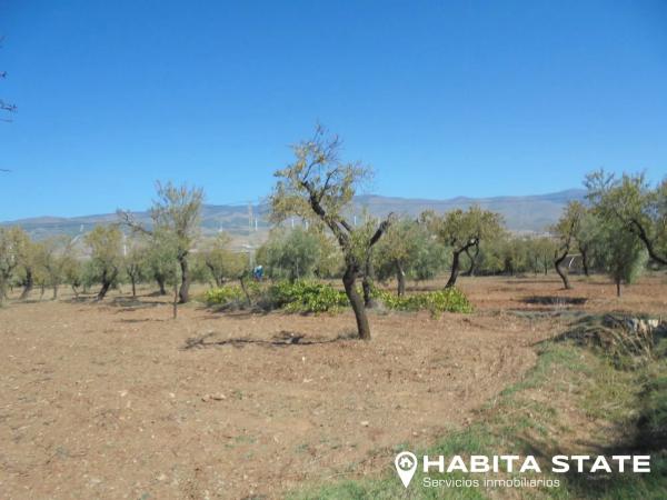 Terreno en Paraje Escuchagranos s/n