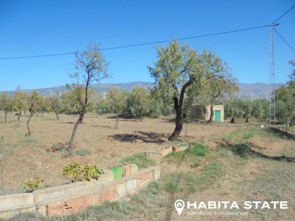 Terreno en Paraje Escuchagranos s/n