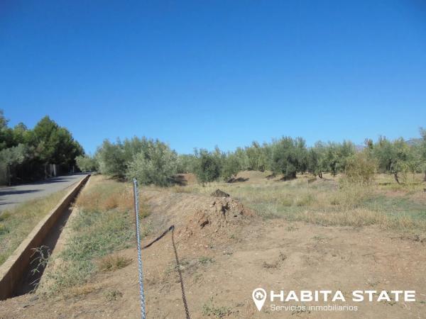 Terreno en Paraje Escuchagranos s/n