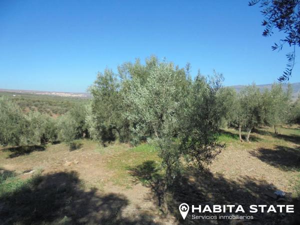 Terreno en Paraje Banzal s/n