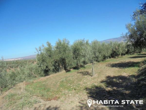 Terreno en Paraje Banzal s/n