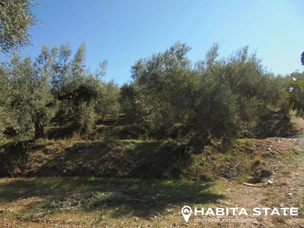 Terreno en Paraje Banzal s/n