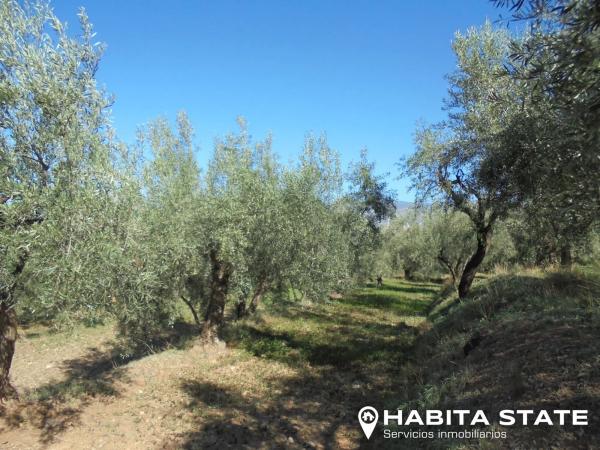 Terreno en Paraje Banzal s/n