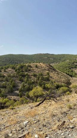 Terreno en alto Calar, 1
