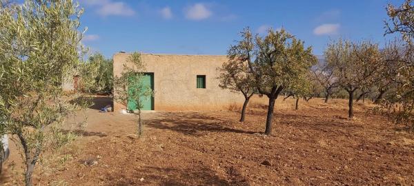 Terreno en calle El Campillo, 1