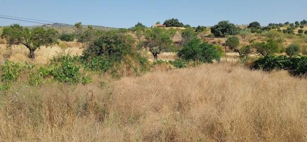 Terreno en rambla de Tahal, 1