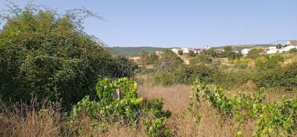 Terreno en rambla de Tahal, 1
