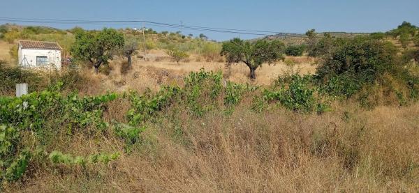 Terreno en rambla de Tahal, 1