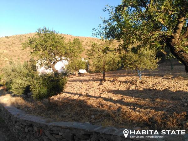 Terreno en Barranco La Torrecilla s/n