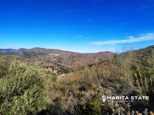 Terreno en Paraje de Cerezos s/n