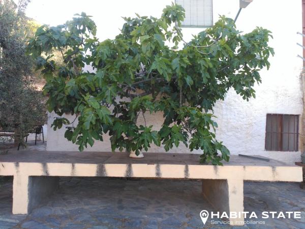 Terreno en Barranco La Torrecilla s/n