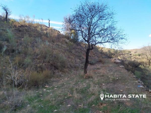 Terreno en Paraje de Cerezos s/n