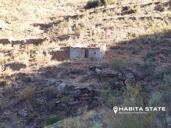 Terreno en Paraje de Cerezos s/n