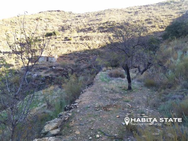 Terreno en Paraje de Cerezos s/n