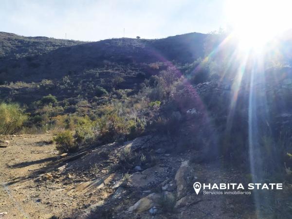 Terreno en Paraje de Cerezos s/n