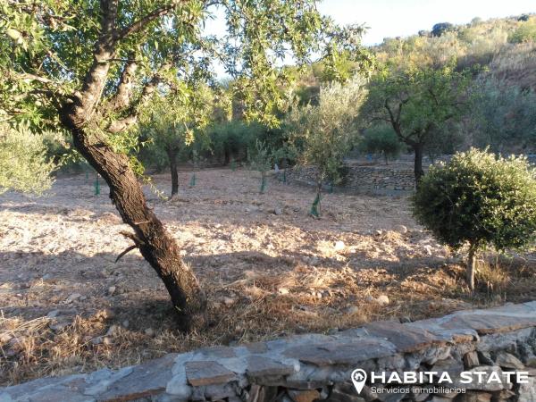 Terreno en Barranco La Torrecilla s/n