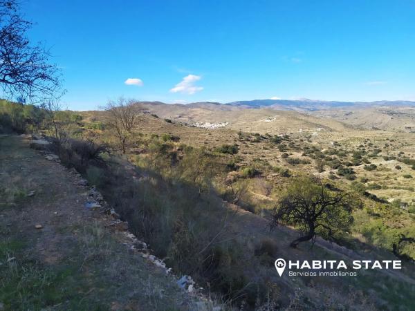 Terreno en Paraje de Cerezos s/n