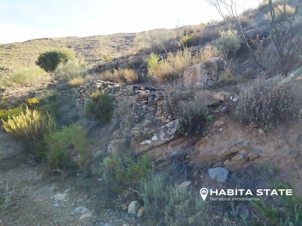 Terreno en Paraje de Cerezos s/n