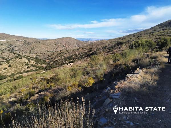 Terreno en Paraje de Cerezos s/n