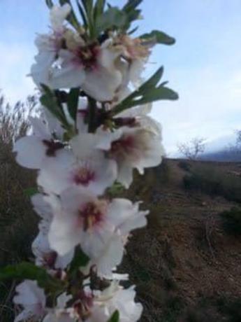 Terreno en via sin nombre, 85
