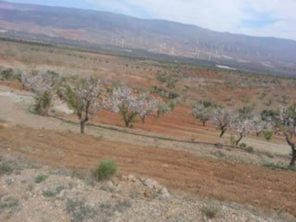 Terreno en via sin nombre, 85