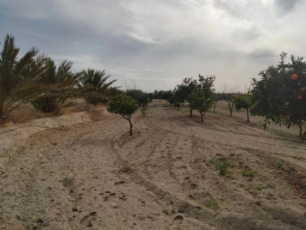 Terreno en camino Viejo de Senes s/n