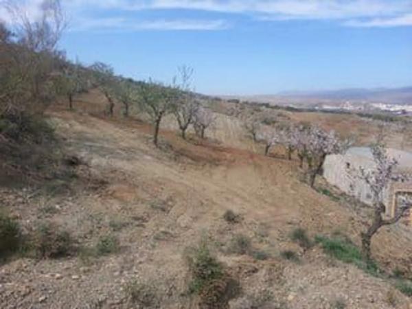 Terreno en via sin nombre, 85