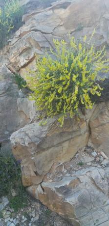 Terreno en rambla del Marqués, km 9