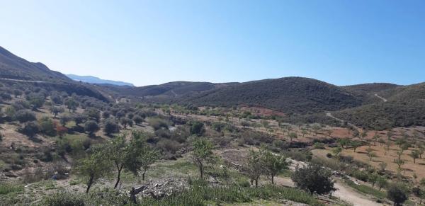 Terreno en rambla del Marqués, km 9