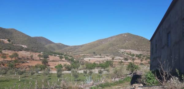 Terreno en rambla del Marqués, km 9