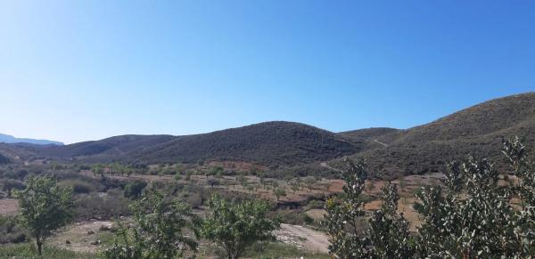 Terreno en rambla del Marqués, km 9