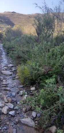 Terreno en rambla del Marqués, km 9