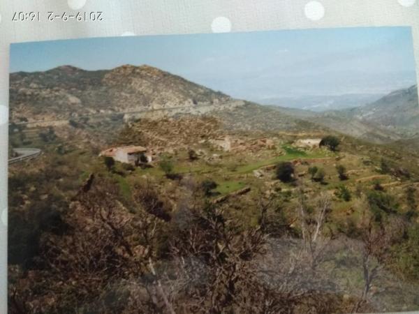 Terreno en carretera Uleila del Campo a Benizalon, km 71