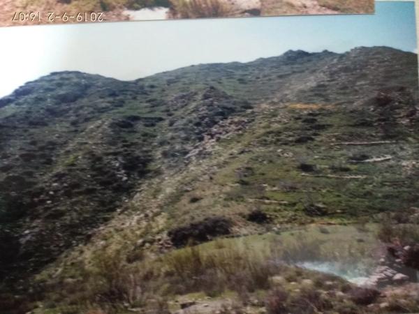 Terreno en carretera Uleila del Campo a Benizalon, km 71