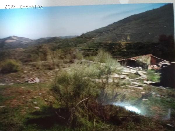Terreno en carretera Uleila del Campo a Benizalon, km 71