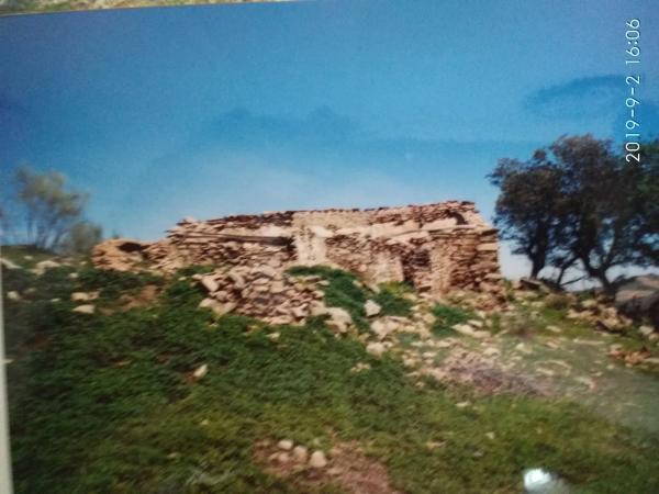 Terreno en carretera Uleila del Campo a Benizalon, km 71