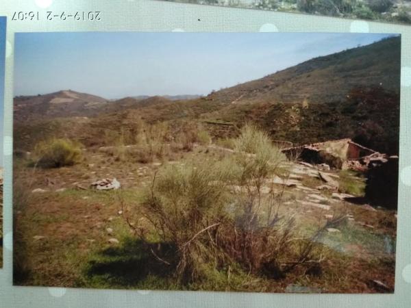 Terreno en carretera Uleila del Campo a Benizalon, km 71