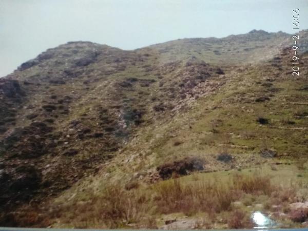 Terreno en carretera Uleila del Campo a Benizalon, km 71