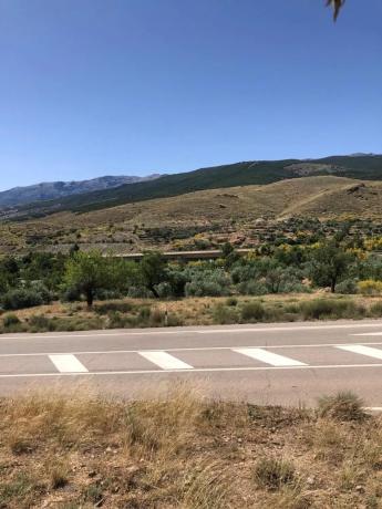 Terreno en camino Viejo a Fiñana s/n