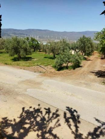Terreno en calle Real, 10