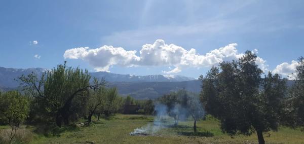 Terreno en carretera A-1176 s/n