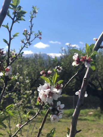 Terreno en carretera A-1176 s/n