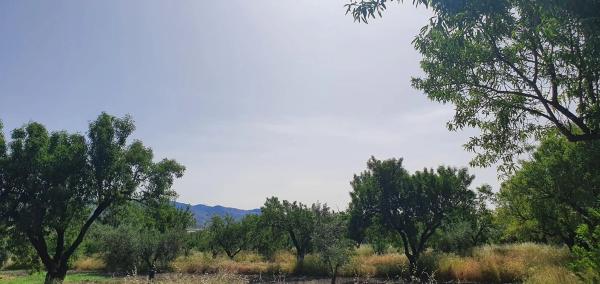 Terreno en carretera A-1176 s/n