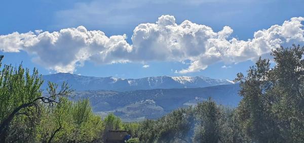 Terreno en carretera A-1176 s/n