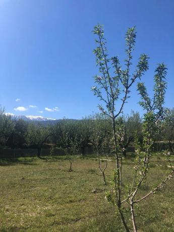 Terreno en carretera A-1176 s/n