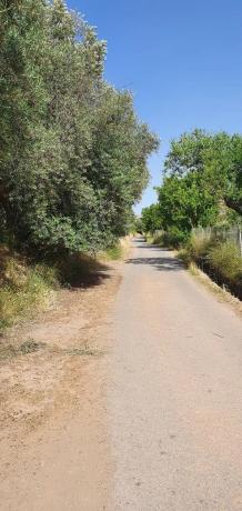 Terreno en carretera A-1176 s/n