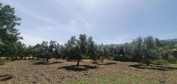 Terreno en carretera A-1176 s/n