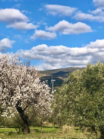 Terreno en carretera A-1176 s/n