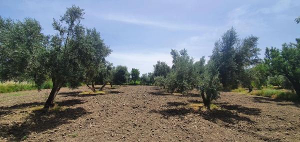 Terreno en carretera A-1176 s/n