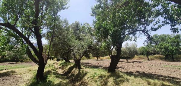 Terreno en carretera A-1176 s/n
